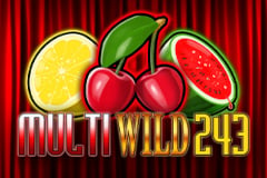 Multi Wild 243 Slot