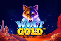 Wolf Gold