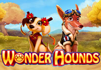 Wonder Hounds