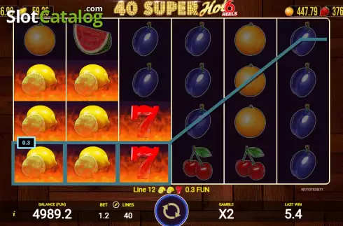 Win screen 2. 40 Super Hot 6 Reels slot